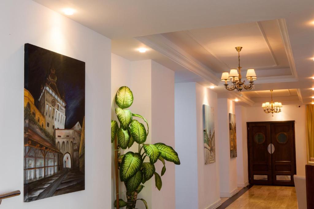 סיגישוארה Hotel Rex מראה חיצוני תמונה